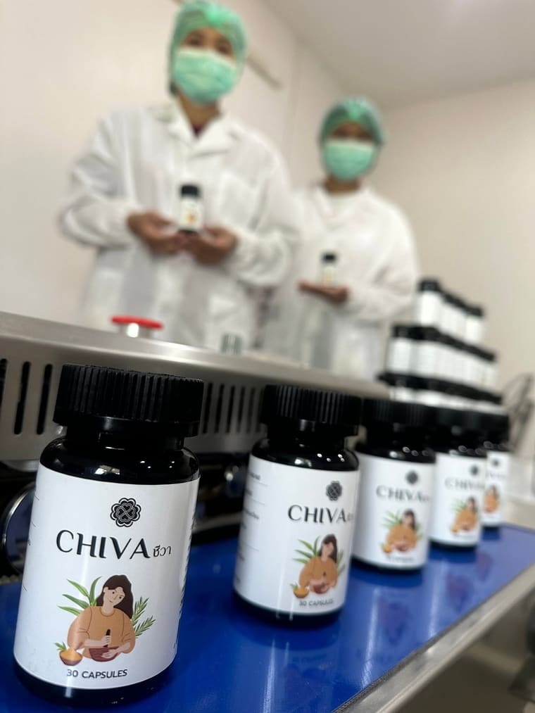 ผลิตภัณฑ์ CHIVA บนสายการผลิต
